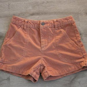 Patagonia Stand- Up Shorts